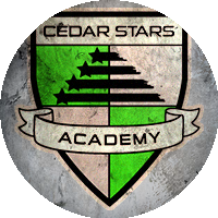 Logo Cedar Stars Hudson Valley